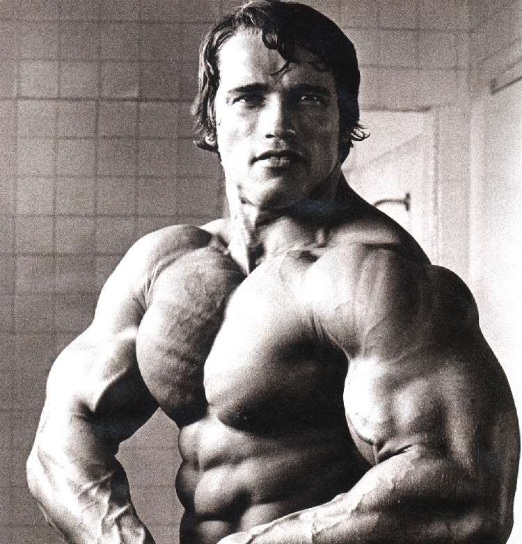 Rock Hard Fitness Workouts: Arnold Schwarzenegger, Mr. Olympia, Terminator