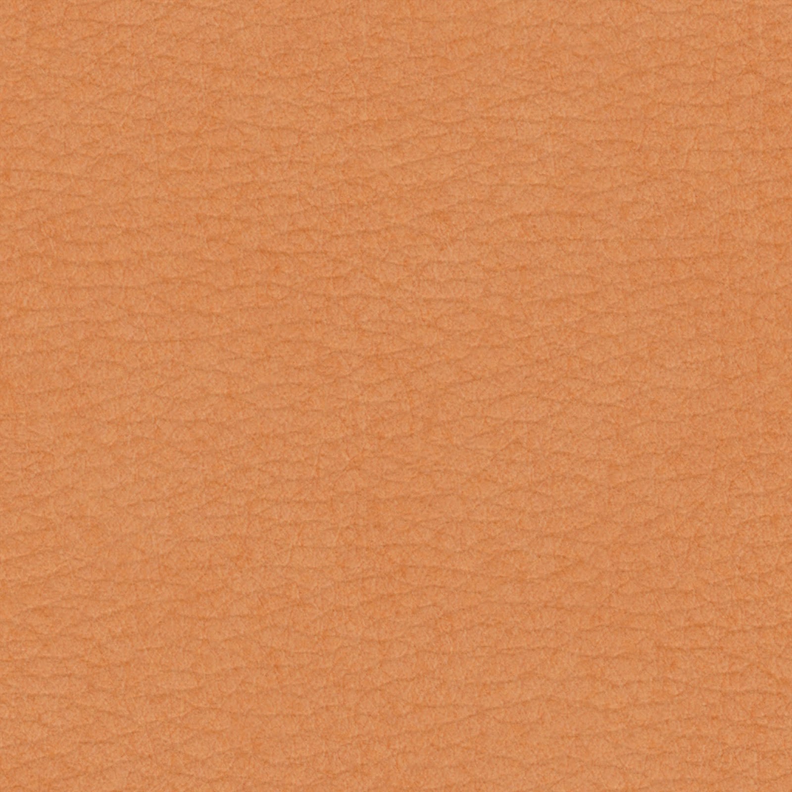 texture of human skin архивы блогов coloradofilecloud texture of human skin архивы блогов coloradofilecloud