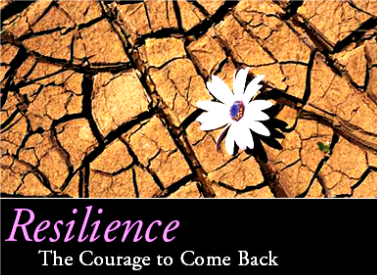 What Is Resilience? The Greening of Gavin