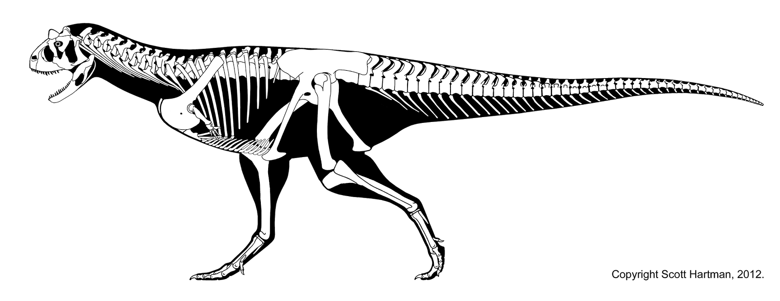 carnotaurus.png