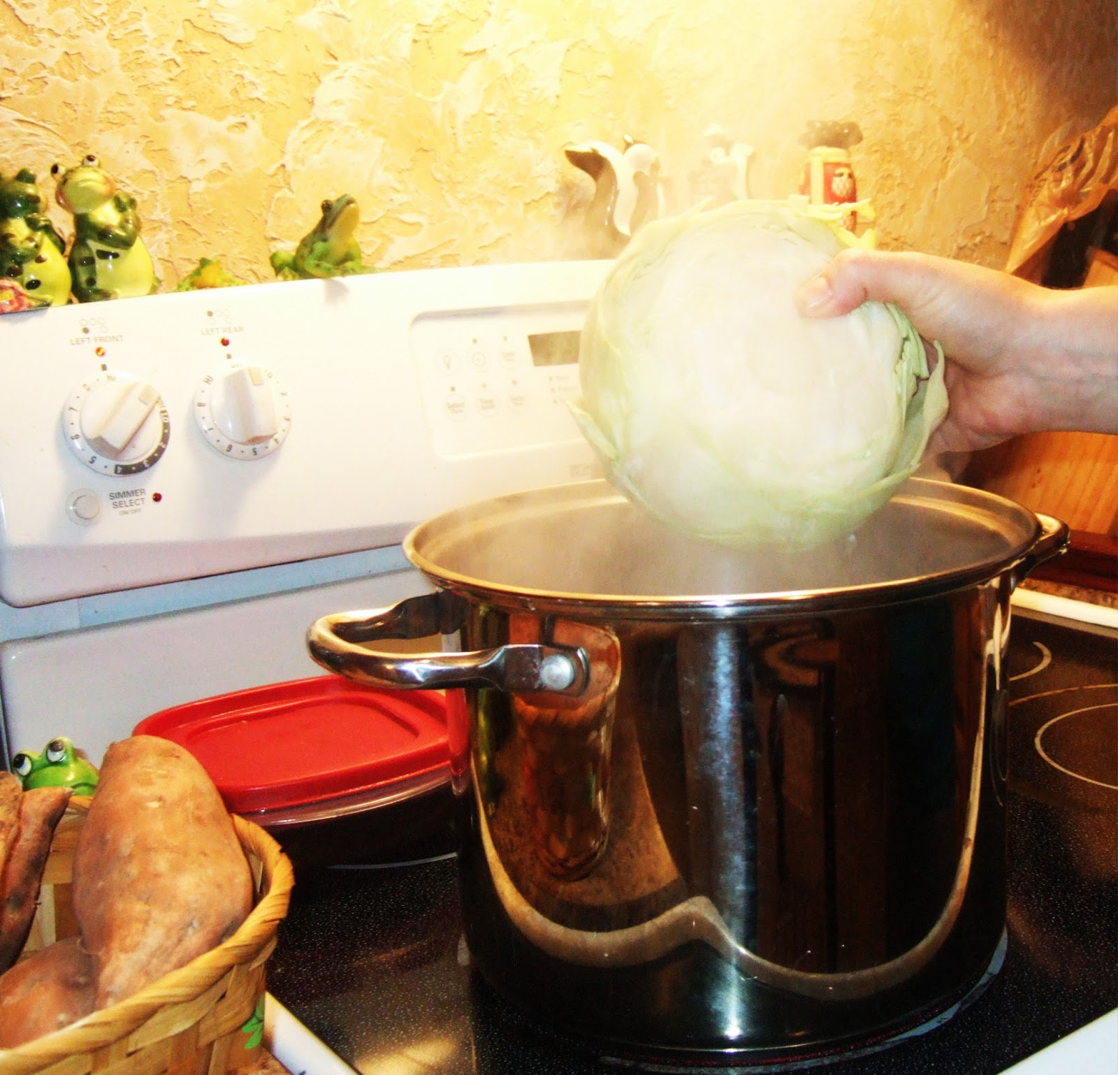 Raw Recipes RAW CABBAGE WRAPS!