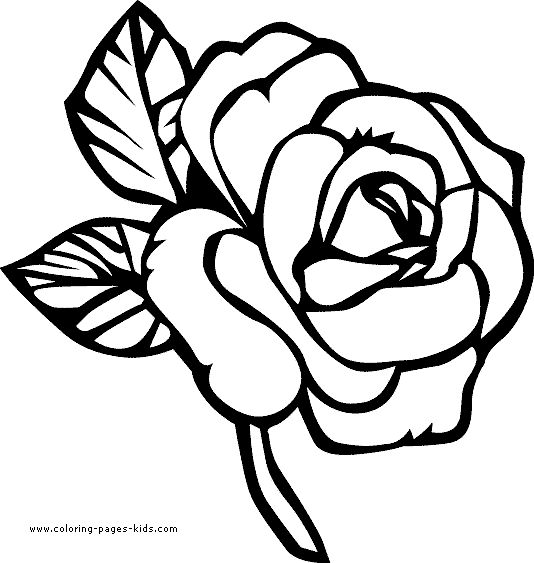 Pretty Flower Coloring Pages title=