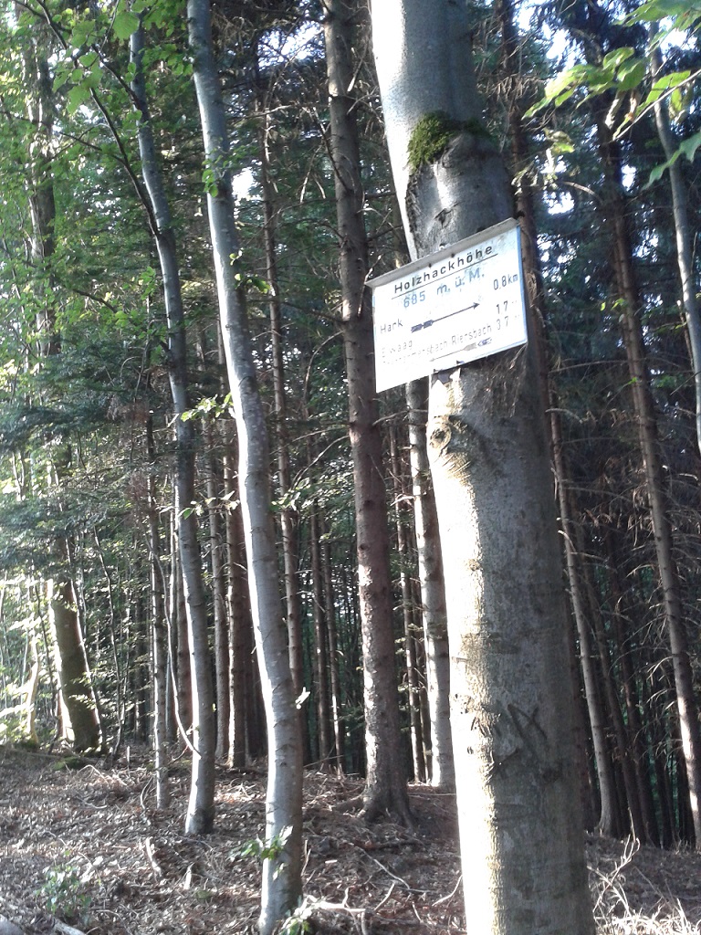 Forum Asyl Pforzheim Interkulturelle Woche 2017