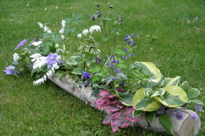 Garden Decor: Garden Decor Ideas