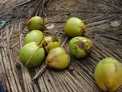 Raw Coconuts...