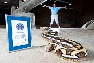 ular terbesar menurut guiness world records