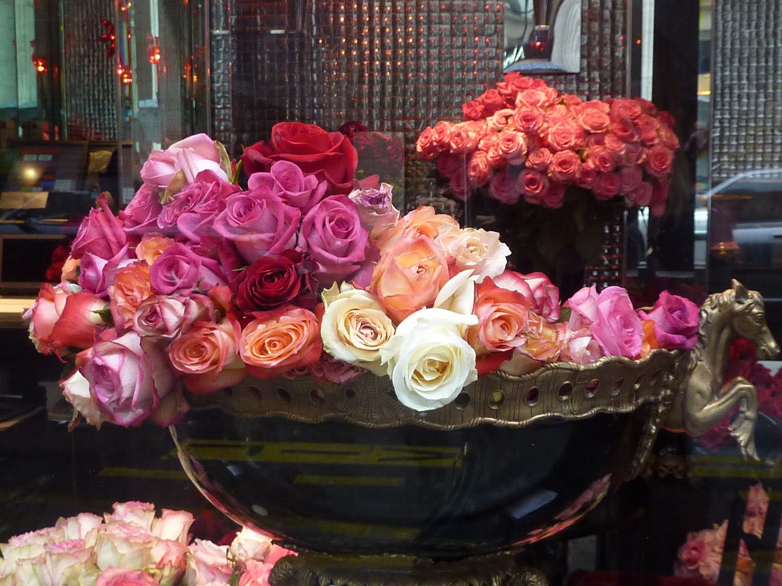 Roses and Roses.. Italian Allure Travel