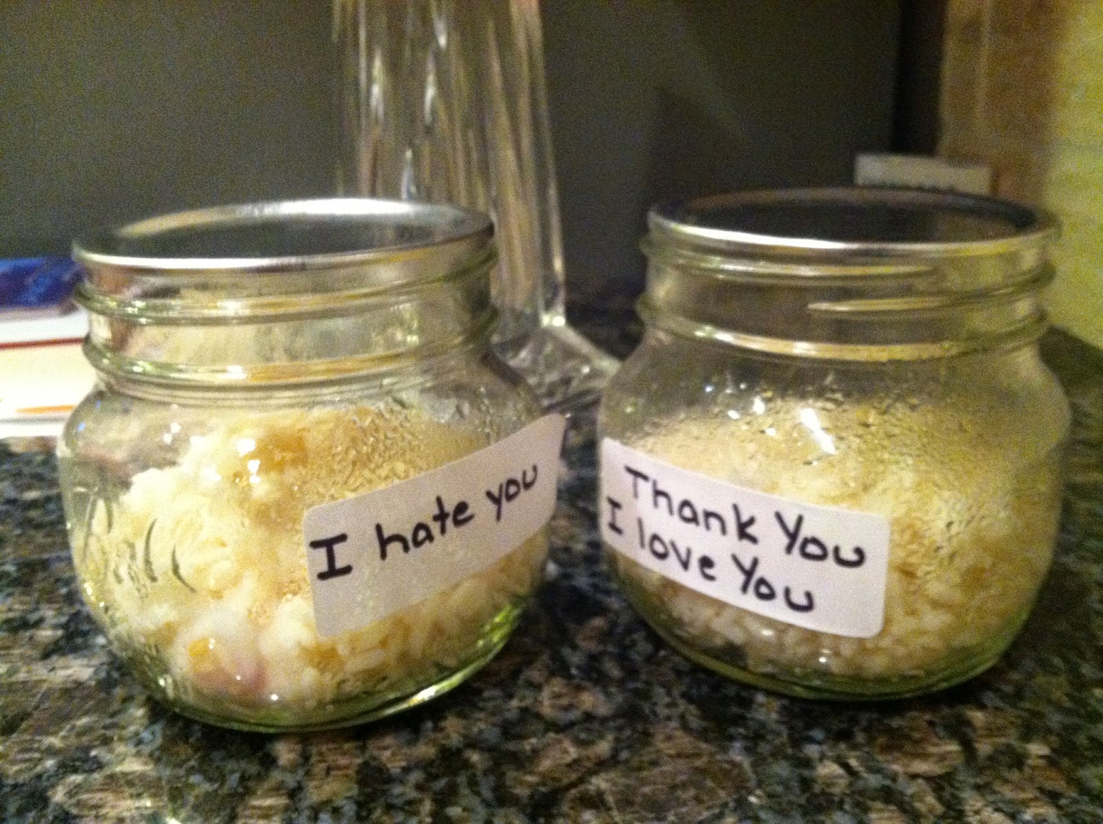 teaching...it's what I do Kindness and the Emoto Rice Experiment