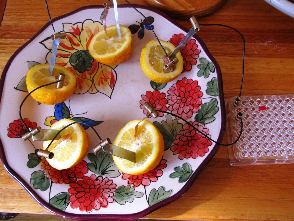 Lemon Circuit Battery, Grade 8 Natural Suburbia