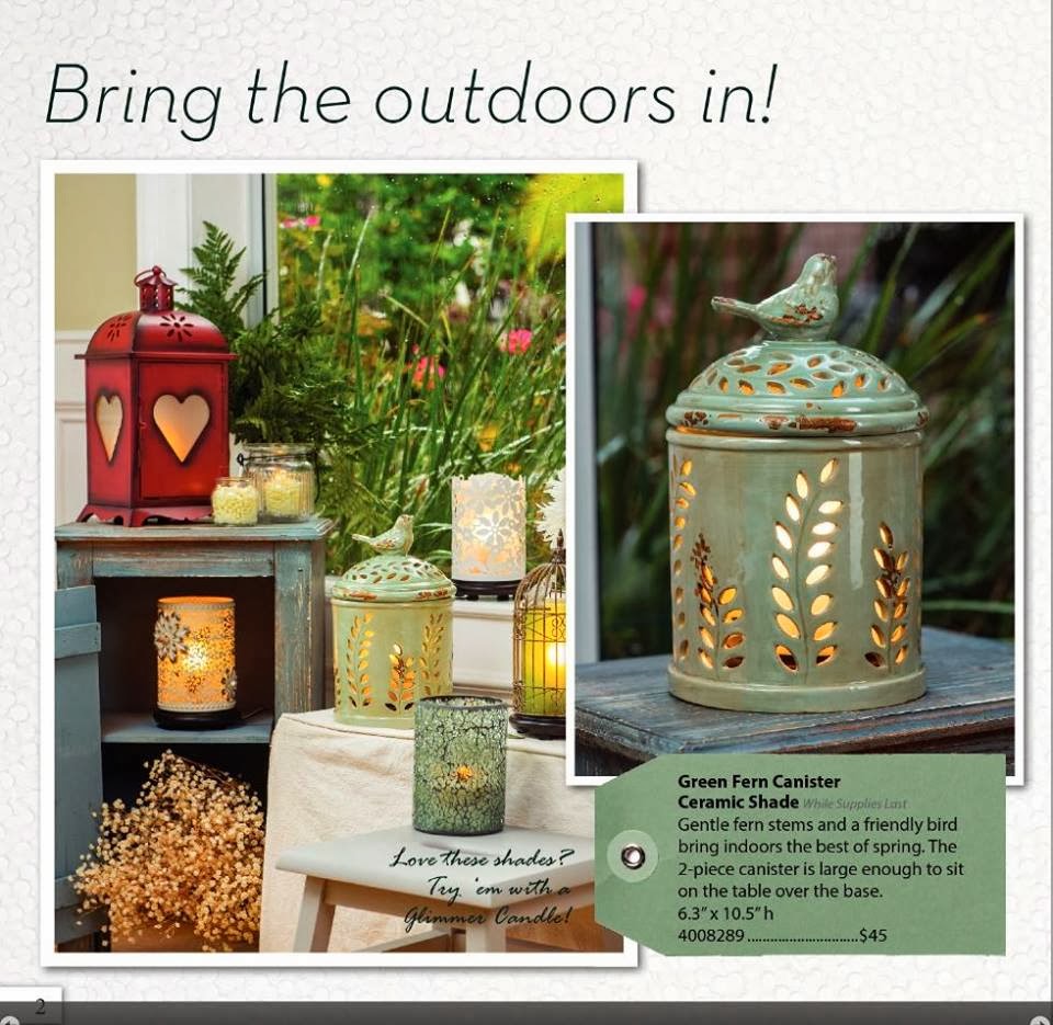 Doing It Pink Zebra Style February 2014