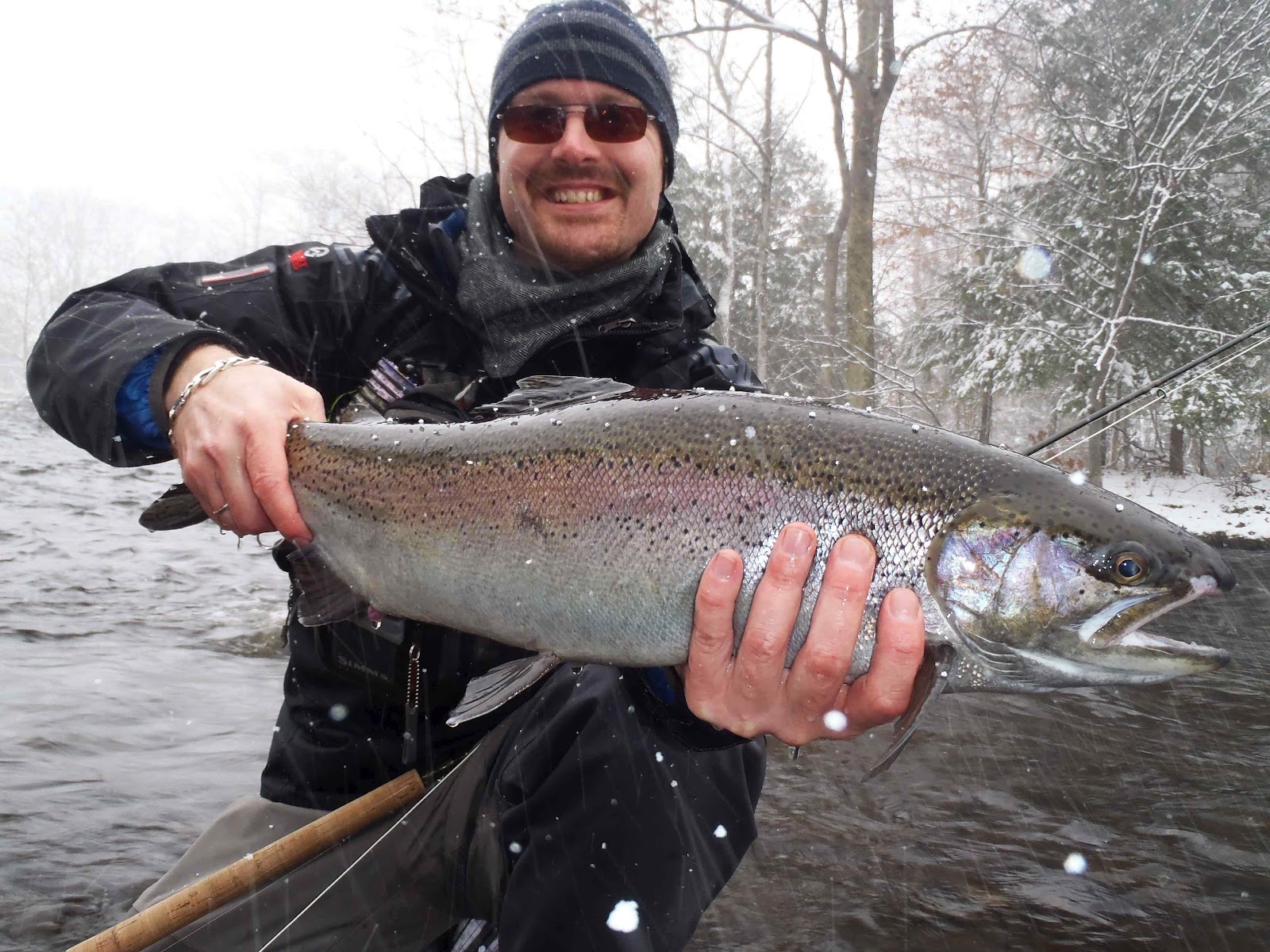 Great fall Steelhead fishing trip. Belle sortie d'automne au Steelhead