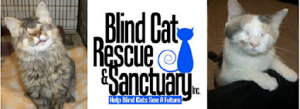 Blind Cat Rescue & Sanctuary