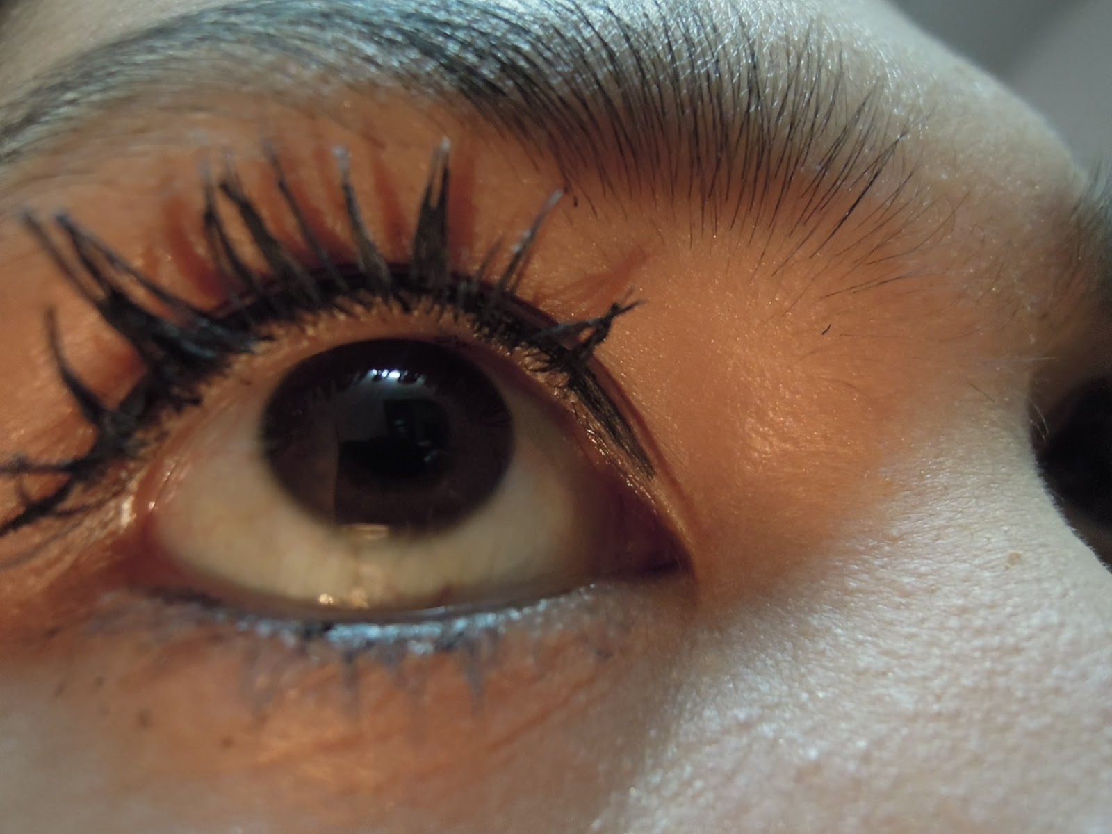 Crabs Std Eyelashes Images Galleries With A Bite!