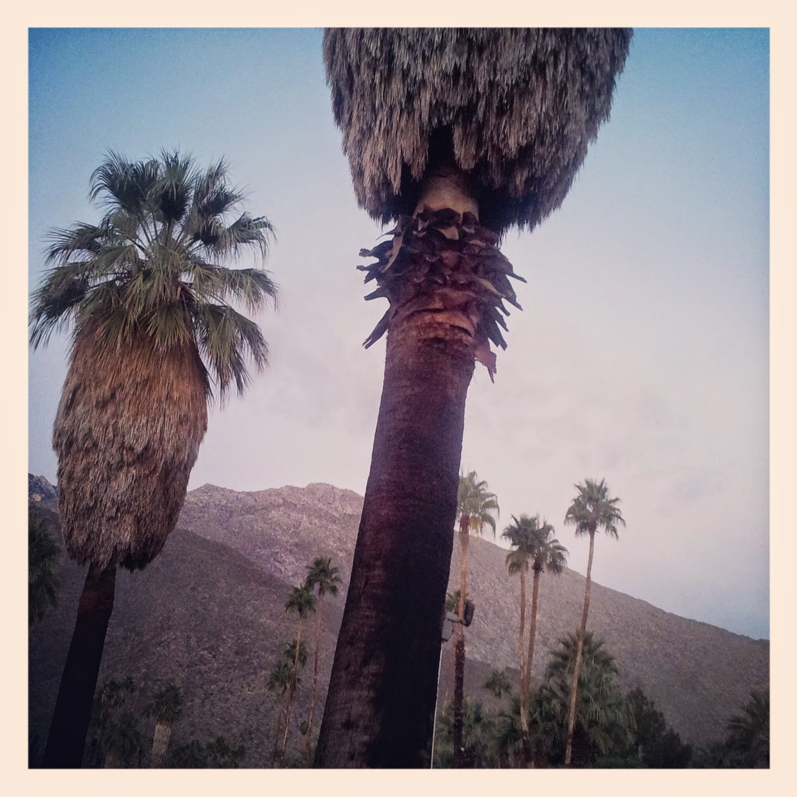 California {50 States of Yoga} Vagabond Zen {Palm Springs}