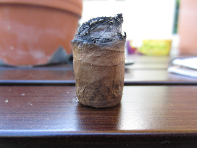 Cigar Cuba chính hiệu!!! Đẳng cấp ông chủ!!!! - 12