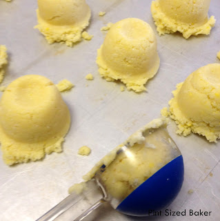 Lemons to Lemonade Cake Pops 7 PS+Lemonade+Pops+6