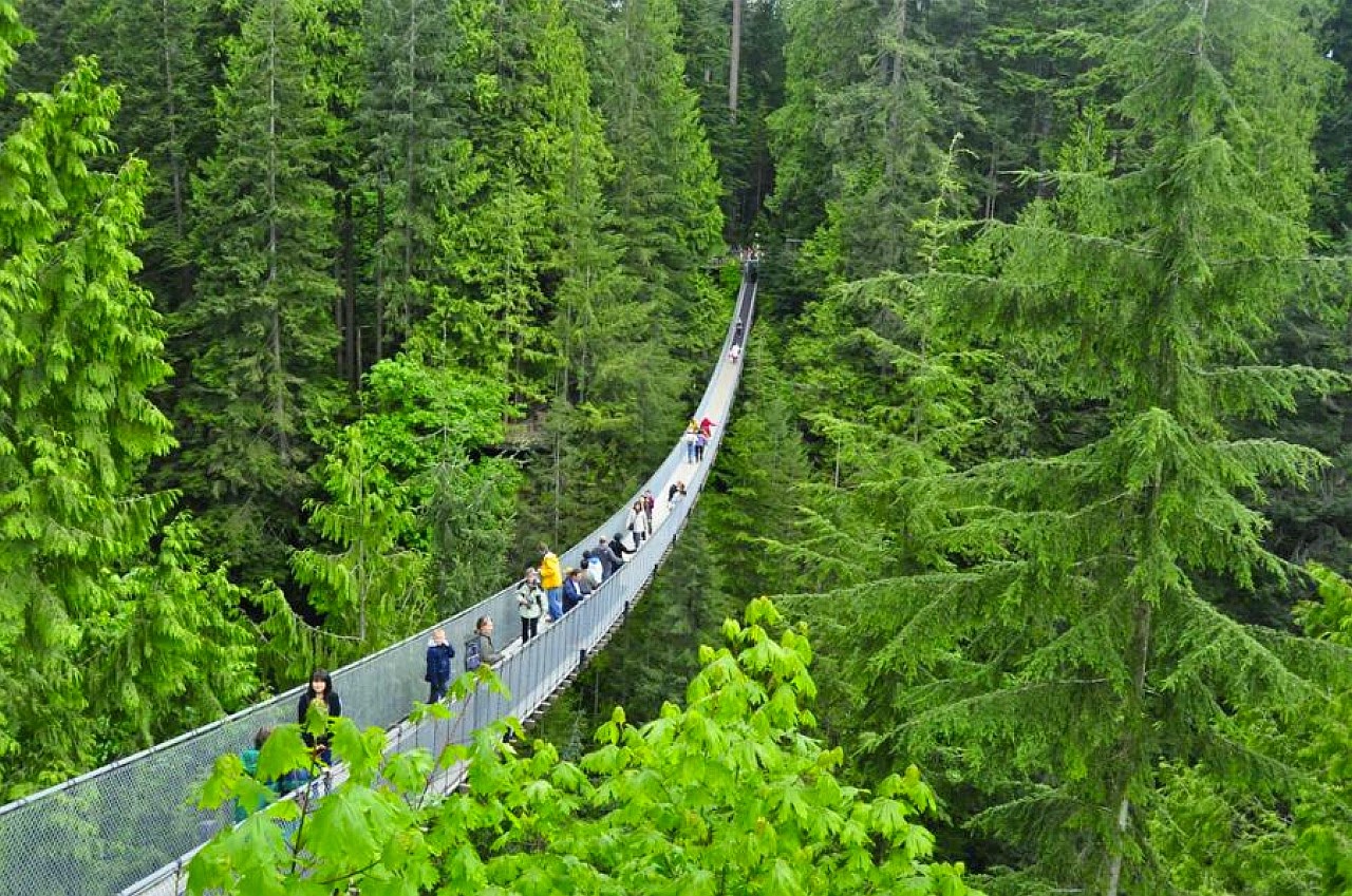 Capilano Suspension Bridge, Columbia Shah Nasir Travel