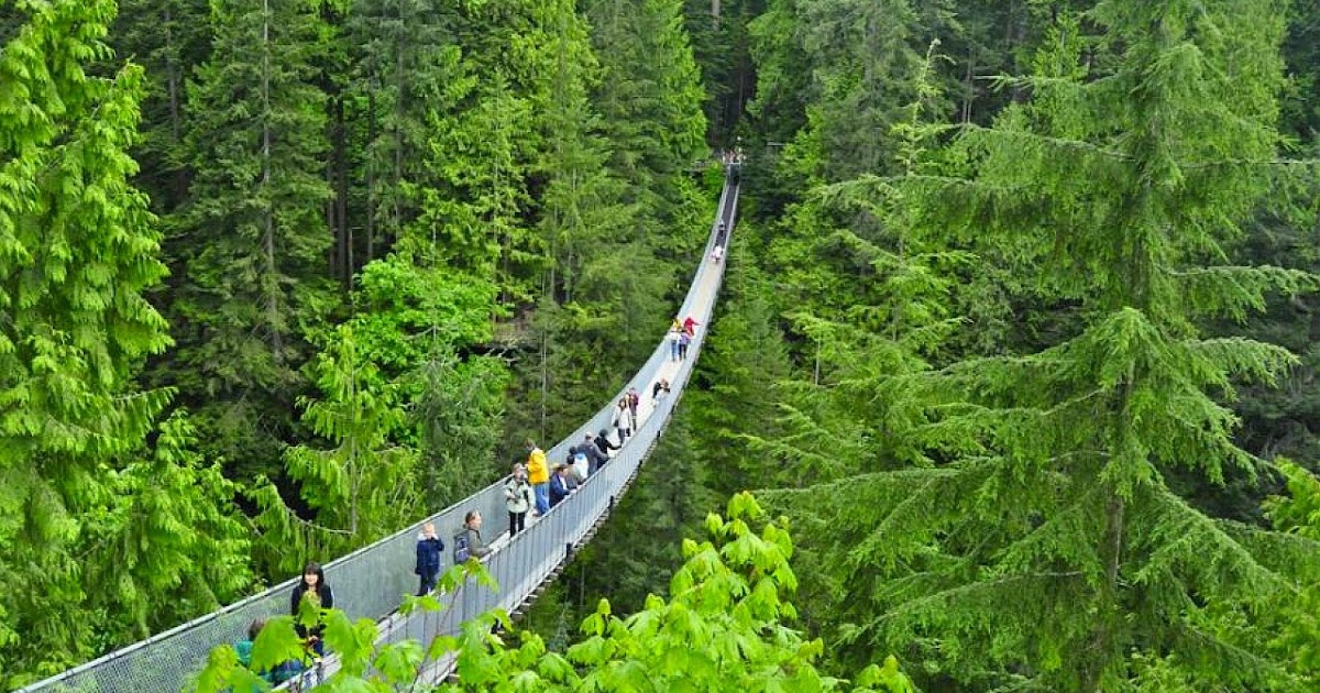 Capilano Suspension Bridge, Columbia Shah Nasir Travel