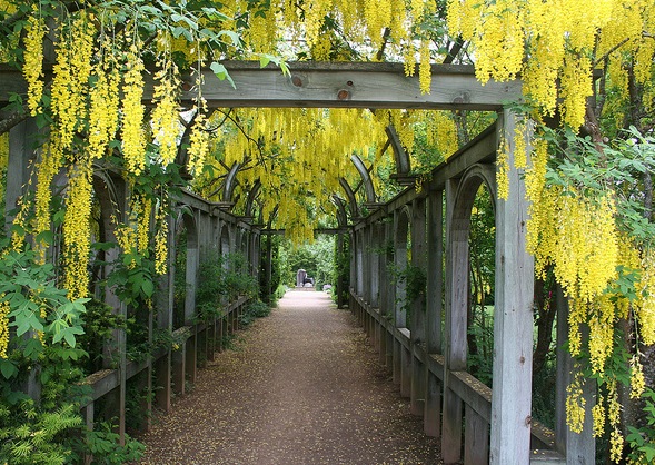 INSPIRATION ARCHIVE: COVERED GARDEN WALKWAY covered garden walkway