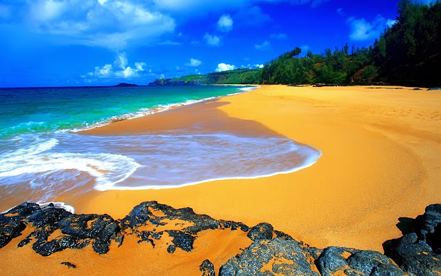 beach free download wallpaper, beach photo HD, beach image, beach picture, beach background, beach desktop wallpaper