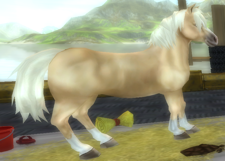 Star Stable Daily Horse Breeds
