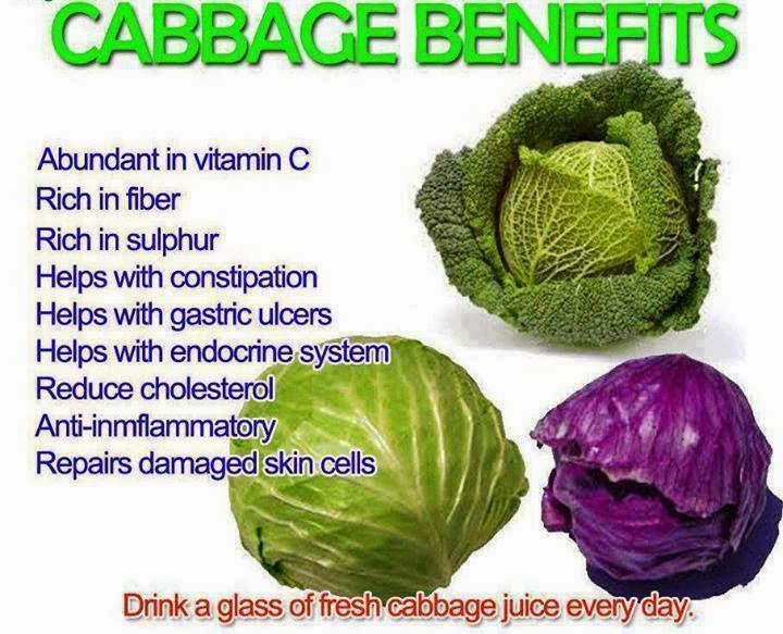 rainbowdiary Health Benefits Of Cabbage