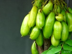 Menghilangkan Jerawat dengan Belimbing Wuluh