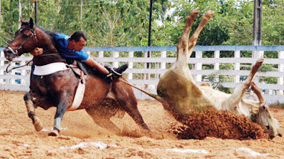 Vaquejada do Kibebi PARK Show, começa mais um dia de classificação