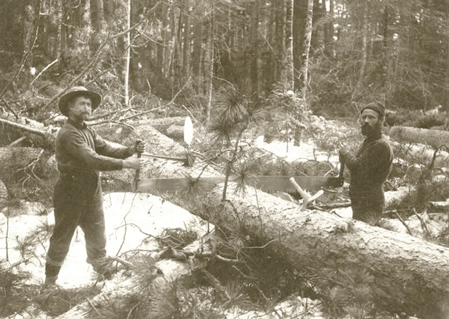lumberjacks-3.gif