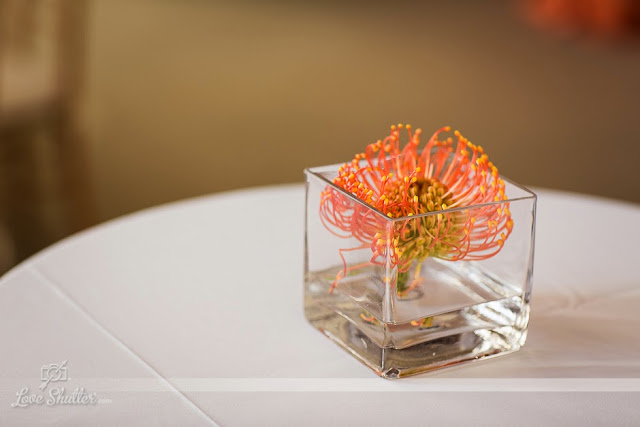 Copyright Love Shutter Photography with Posh Affairs, LLC at Foundation for the Carolinas