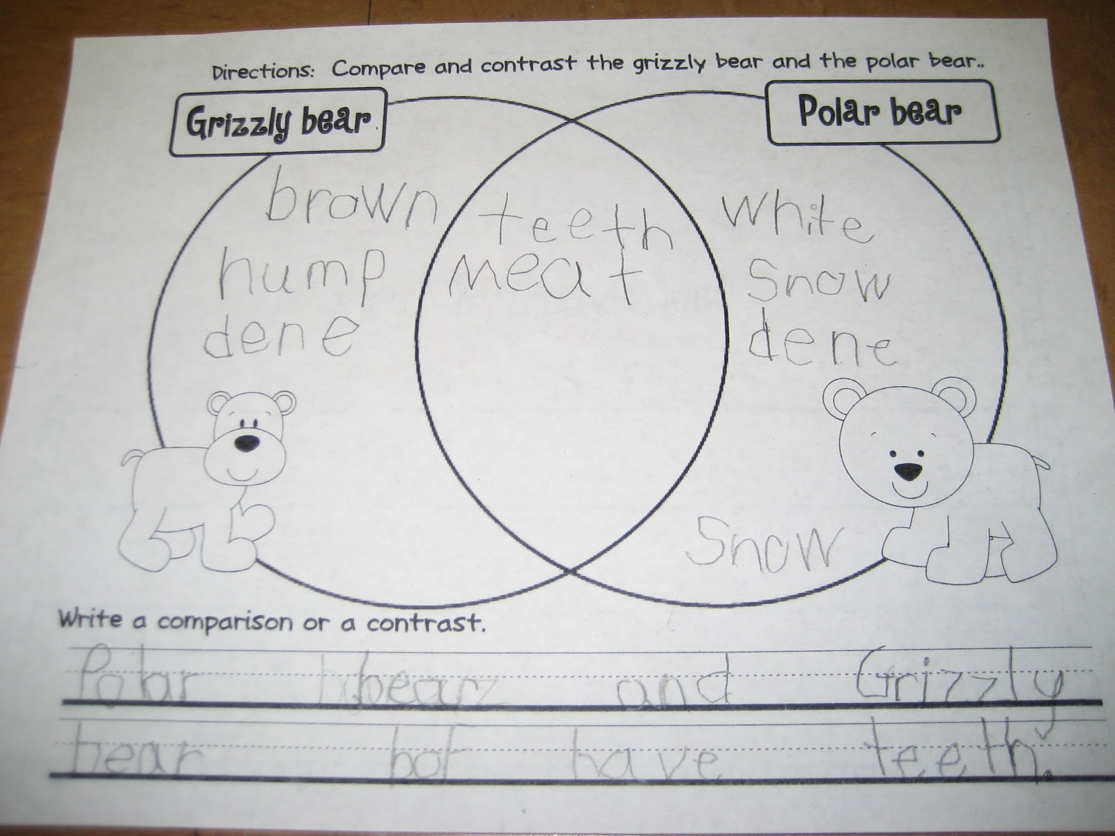 Black Bear Polar Bear Venn Diagram