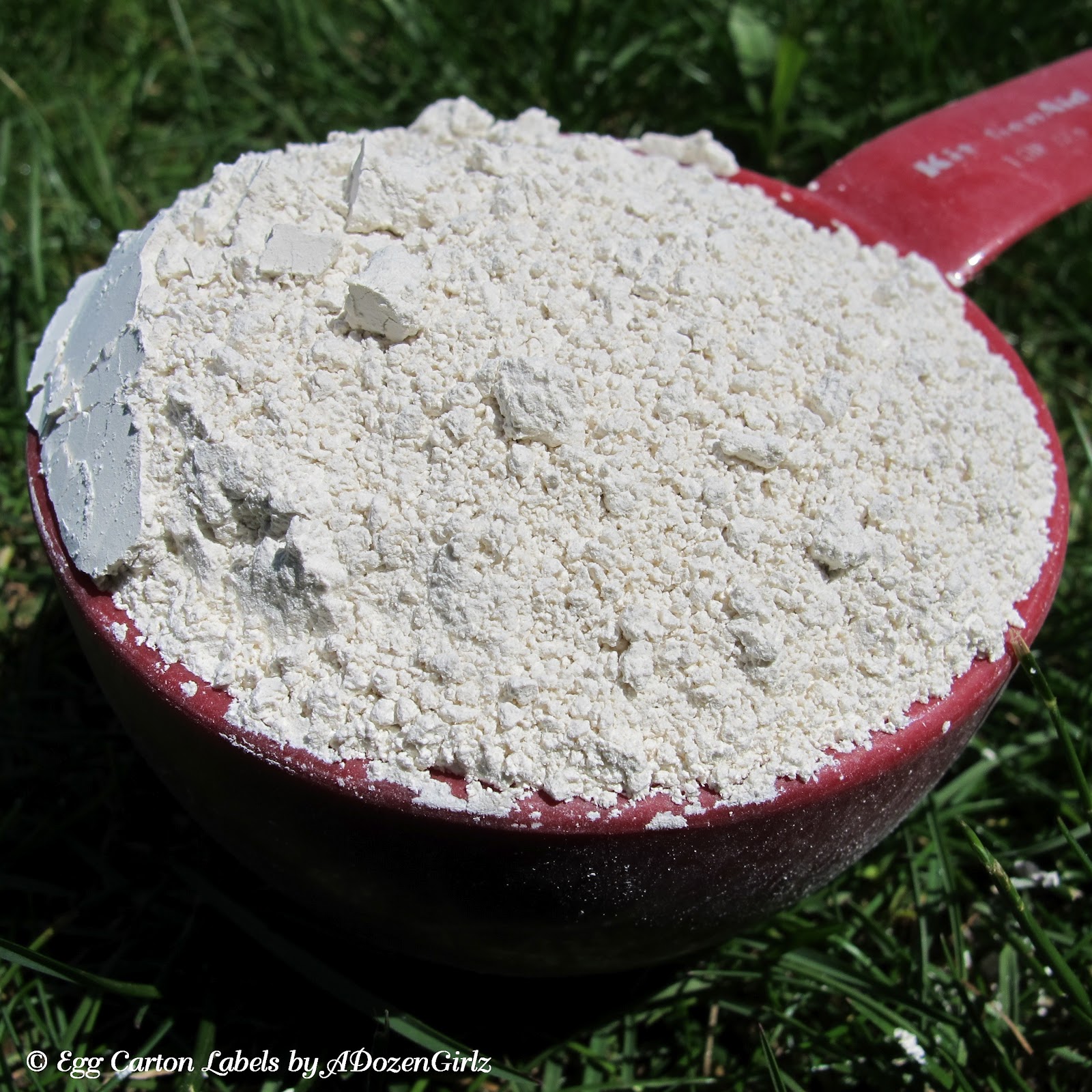 The Chicken Chick® Diatomaceous Earth, DE. The Benefit/Risk Analysis