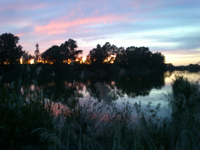 Atardecer en dársena del Guadalquivir sobre el parque de El Alamillo, Sevilla