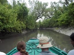 Sundarban