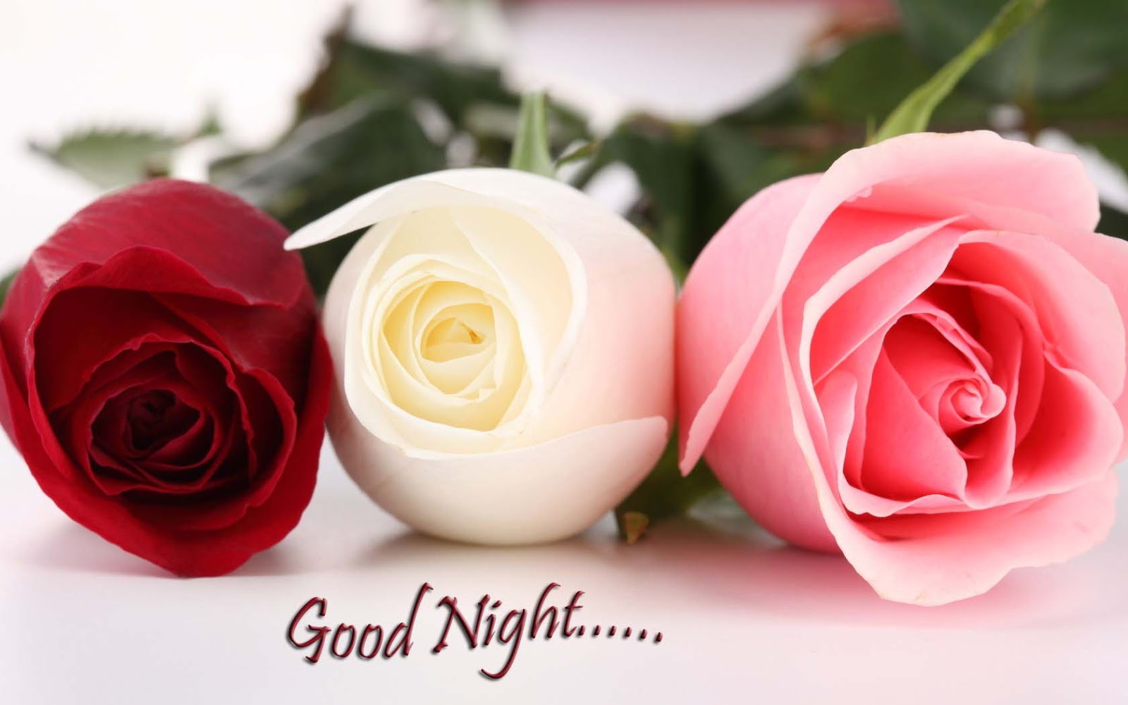 Lovely Good Night wallpapers ~ Allfreshwallpaper