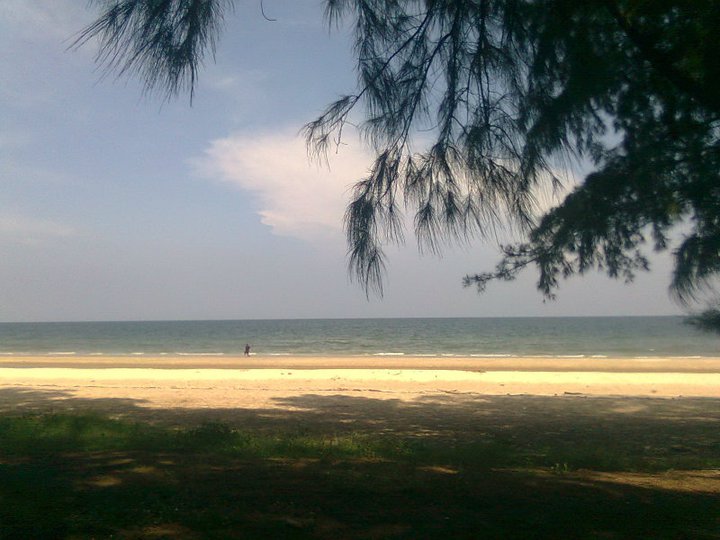 สวนสนประดิพัทธ์