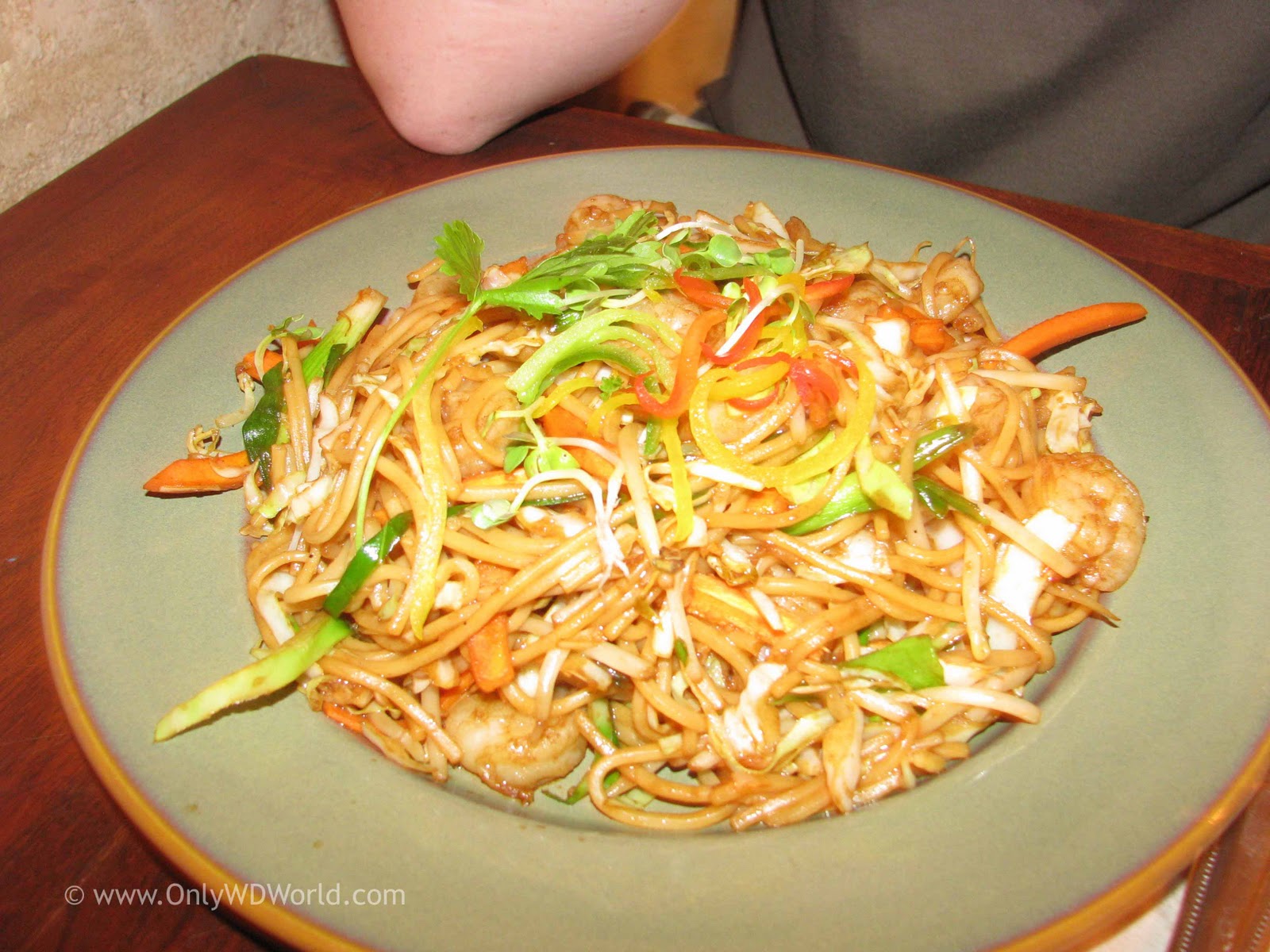 Disney World Dining Yak & Yeti Restaurant Disney World Blog