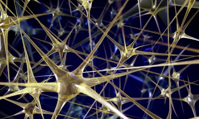 Have you tried to understand your network? – Random generation of network models