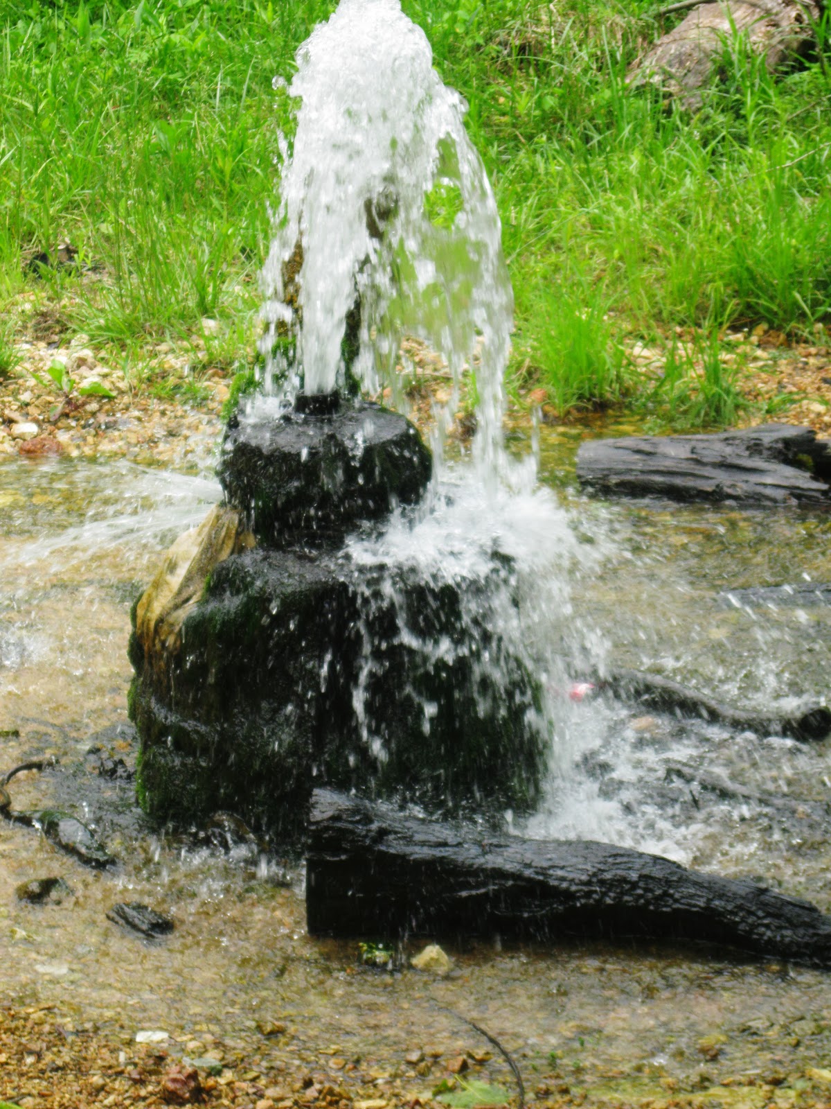 Adventures Among Us Photos of Sycamore Valley Artesian near Marquand, MO