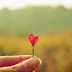 Những Lời Chúc Valentine tiếng anh tặng người yêu ngọt ngào,lãng mạn nhất