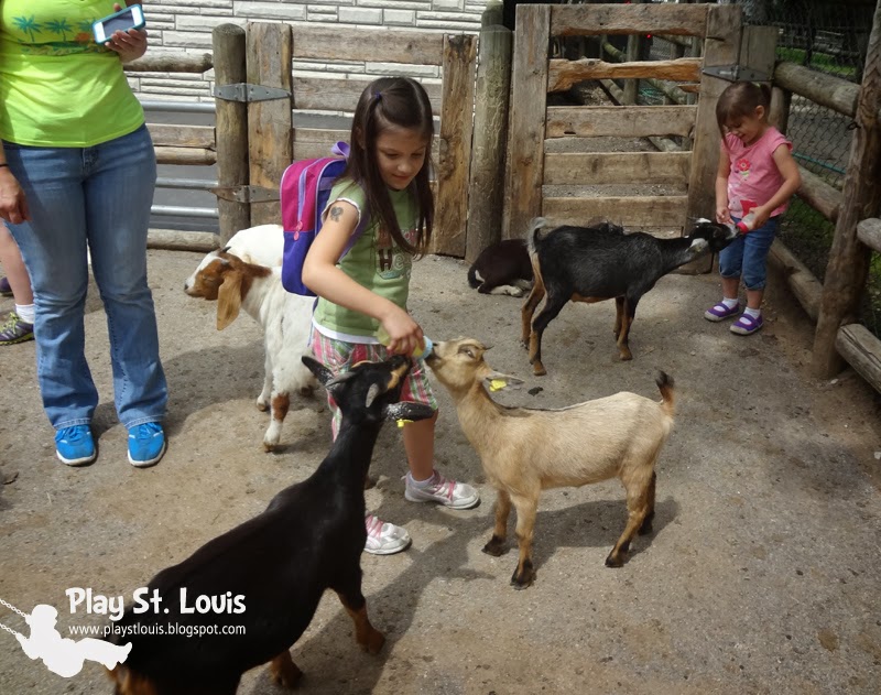 Play St. Louis Grant's Farm, South St. Louis County