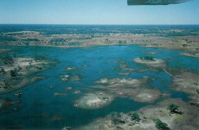 Okavango Delta Swamp in Botswana