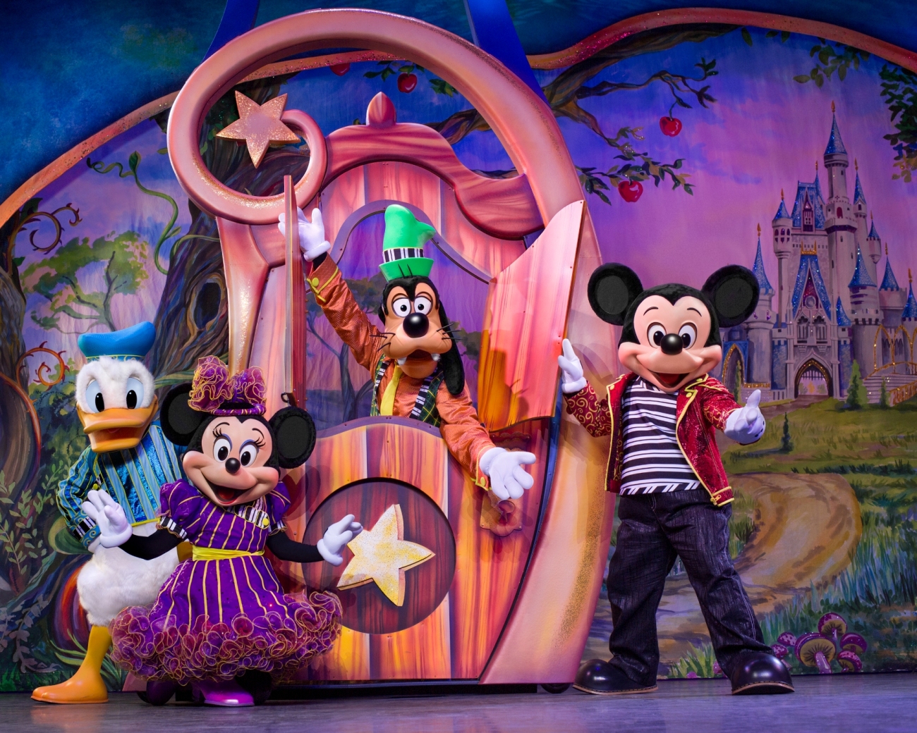 Disney-Pintar por número com moldura para adulto, desenhos animados da  princesa mickey, desenho por números, pintura acrílica sobre tela,  decoração de parede