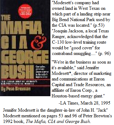 With Another Bush Still On the Horizon