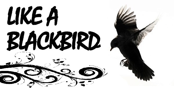 Like A Blackbird