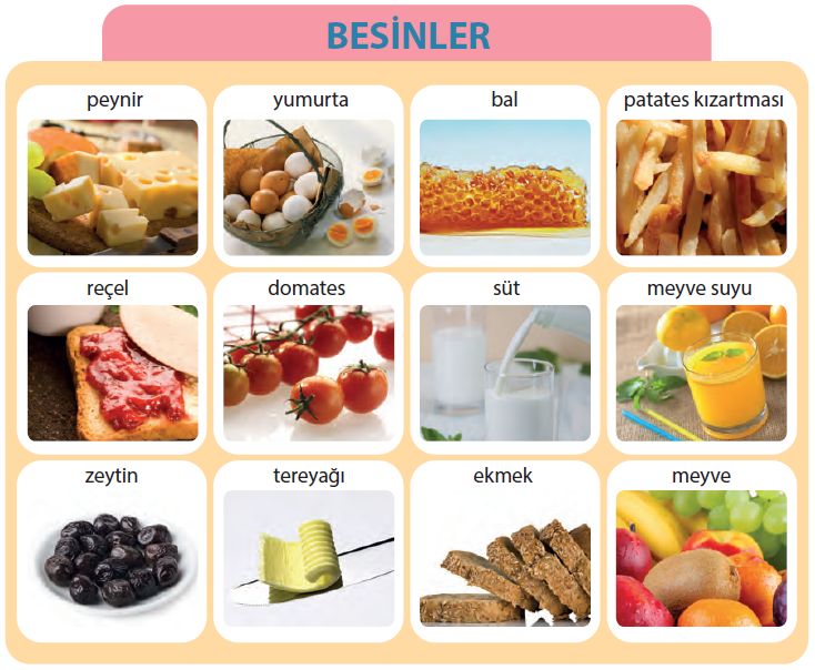 1.4 Besin ve Besin İçerikleri Çalışması 5. Sınıf Fen Bilimleri