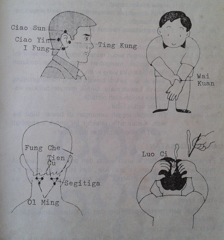 1Mengobati Telinga Mendengung dengan Pijat Refleksi