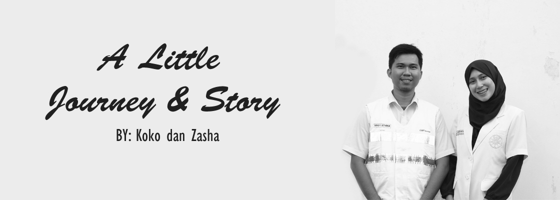 A Little Journey & Story