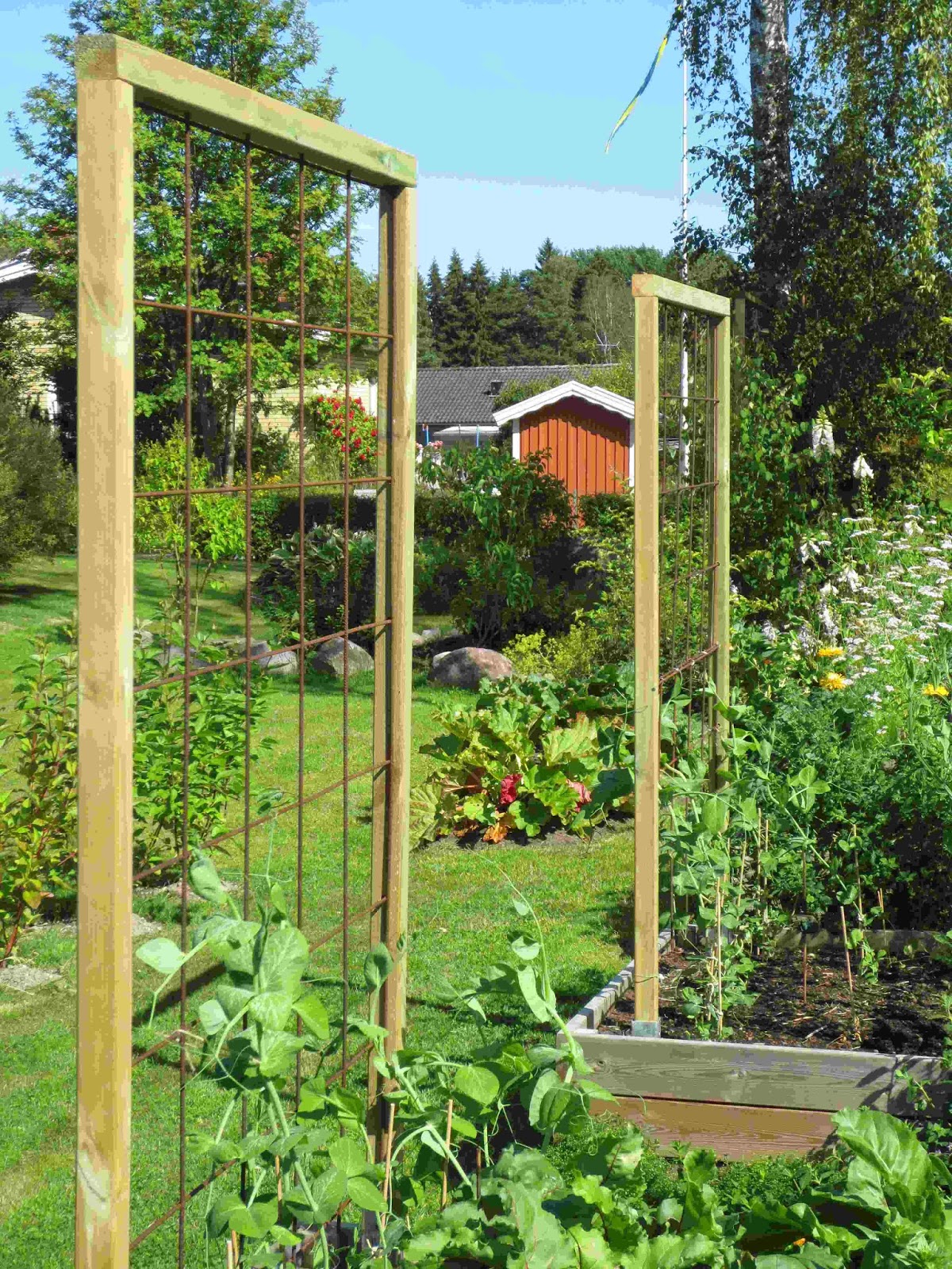 Rickardssons rosor & rabarber: växtstöd och några rara ...