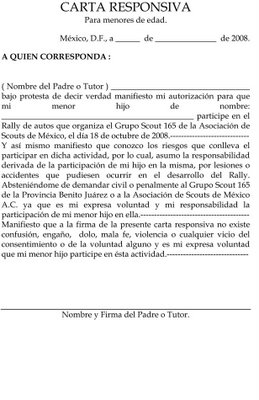 Carta responsiva compra venta automovil pdf to doc